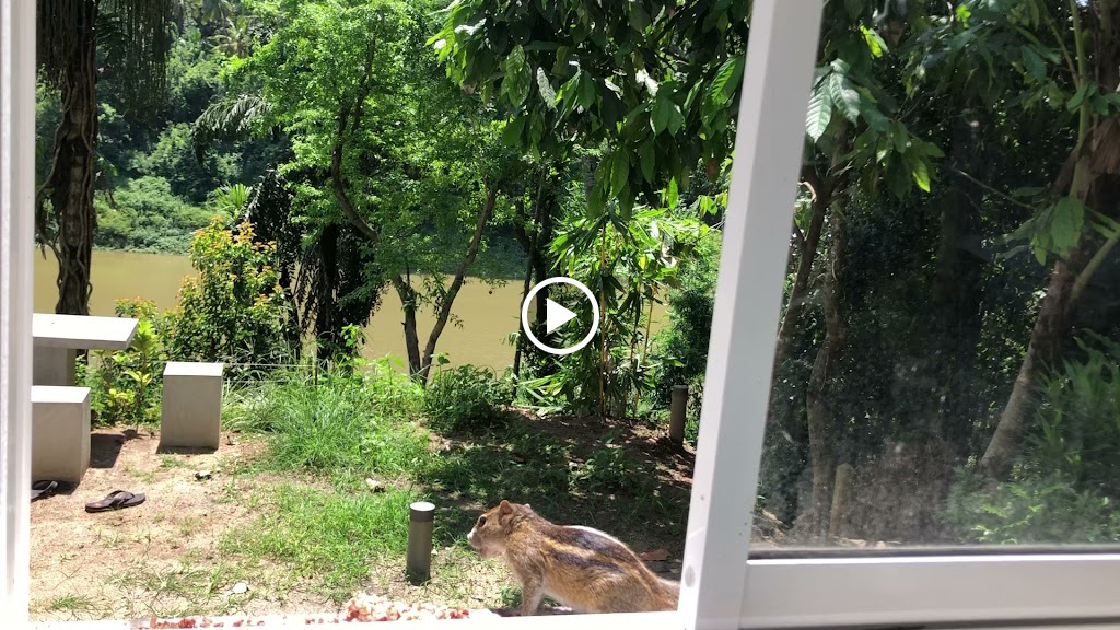 Videos