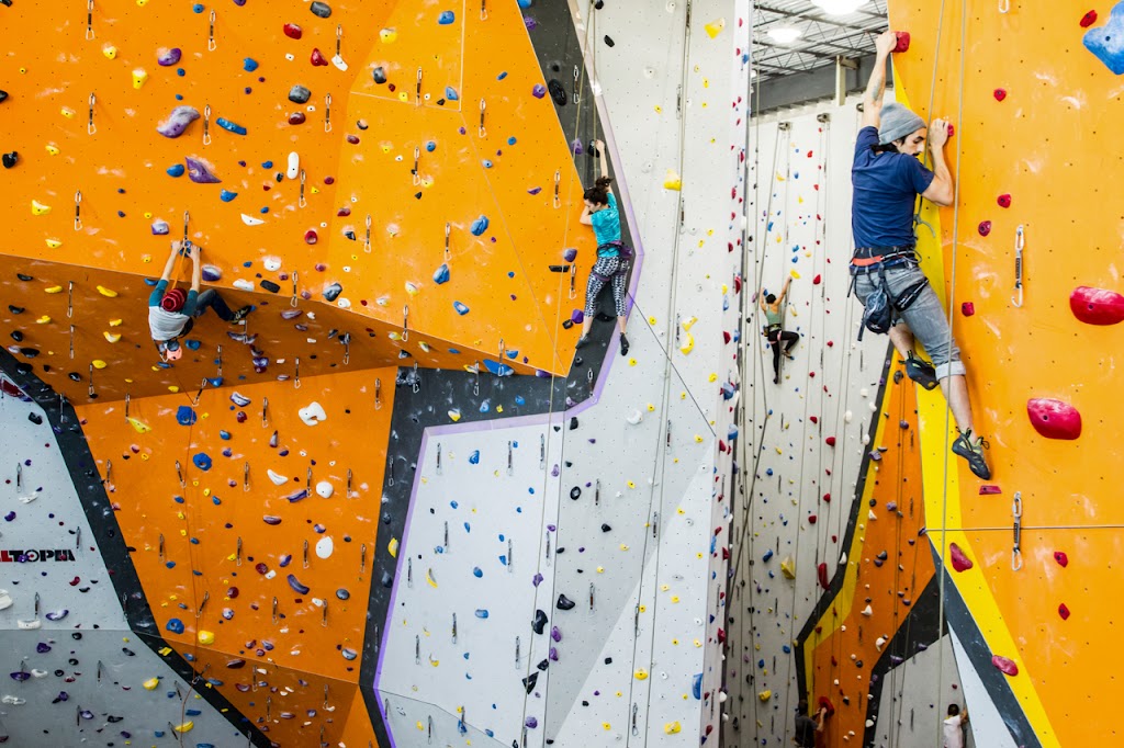  First Ascent Avondale