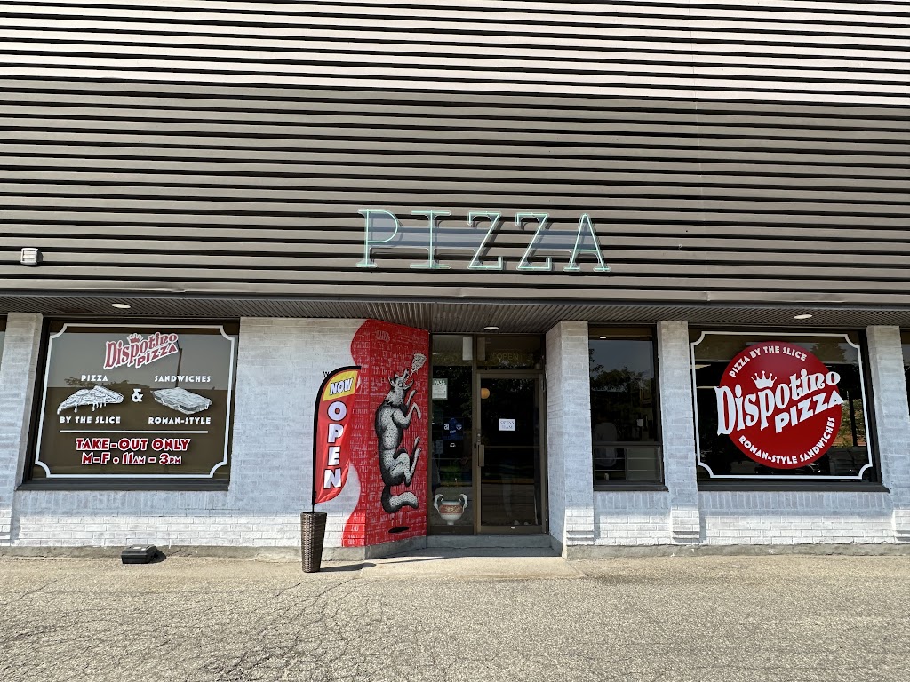 Dispotino Pizza