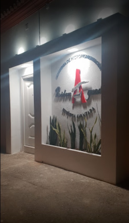Studio Artistico BJ — Todas