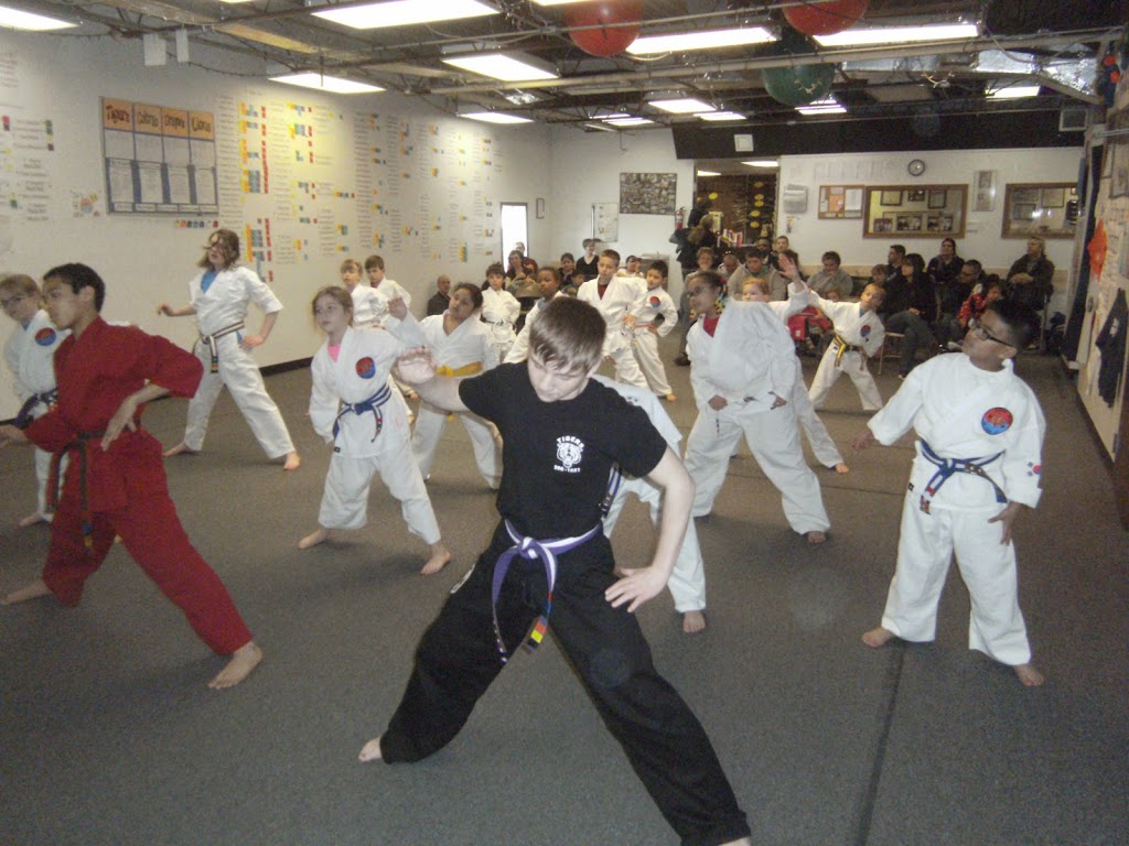  Kicking Tigers USA Taekwondo