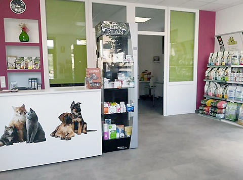 Clinica Veterinaria Cervera — Del propietario