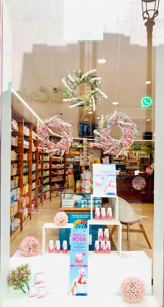 FARMACIA CARMEN GOICOA — Del propietario