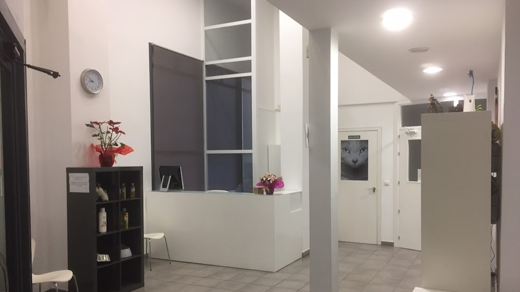 Clinica Veterinaria Campo de Gibraltar