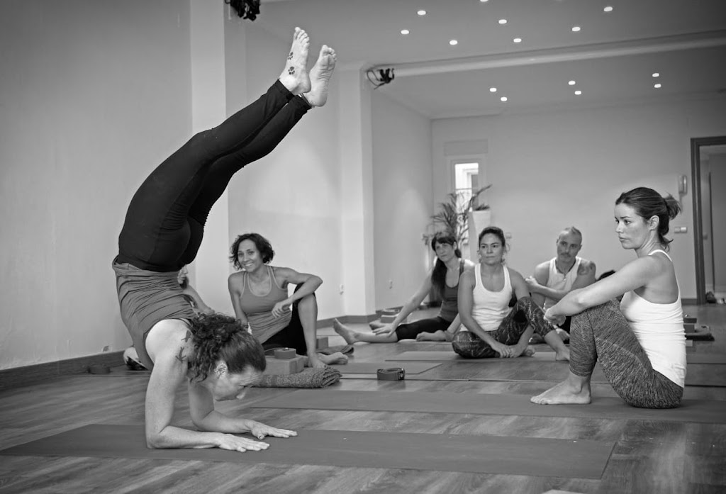 ahimsa YOGA — Yoga