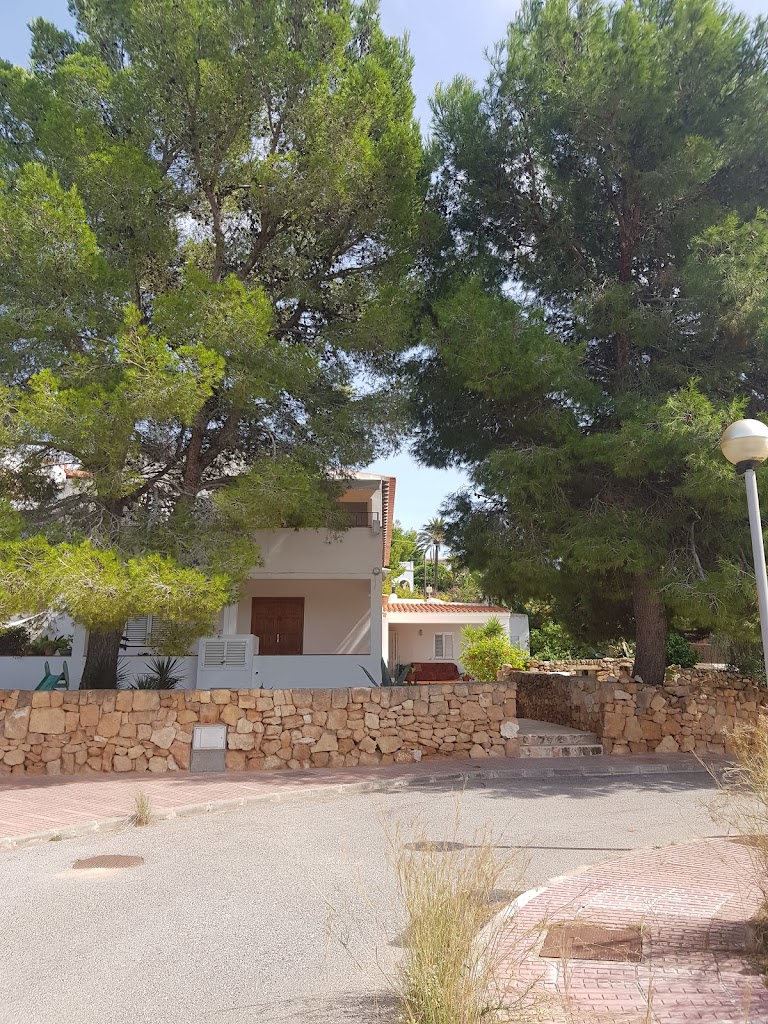 The Wellbeing art Ibiza - Medicina Tradicional China/ Acupuntura/Masaje