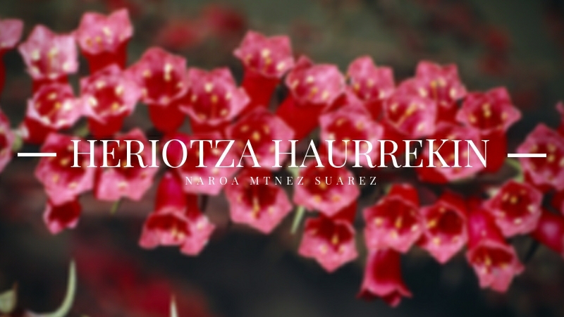 Heriotza Haurrekin. Naroa Mtnez Suarez