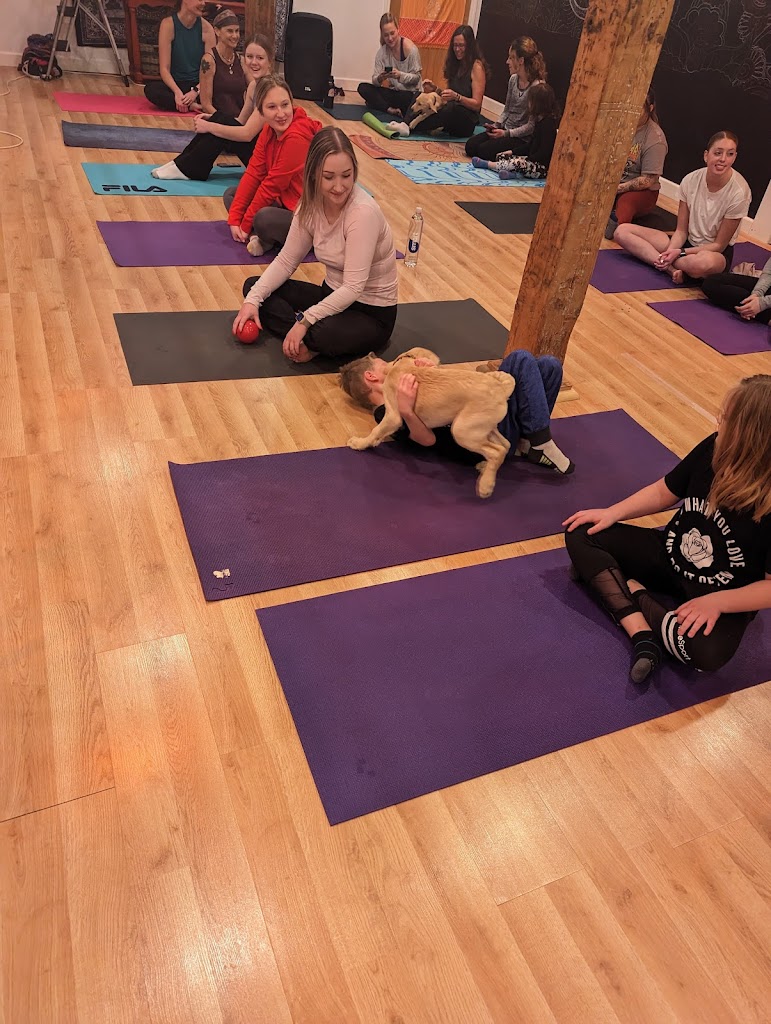  Fit and Fire Studios