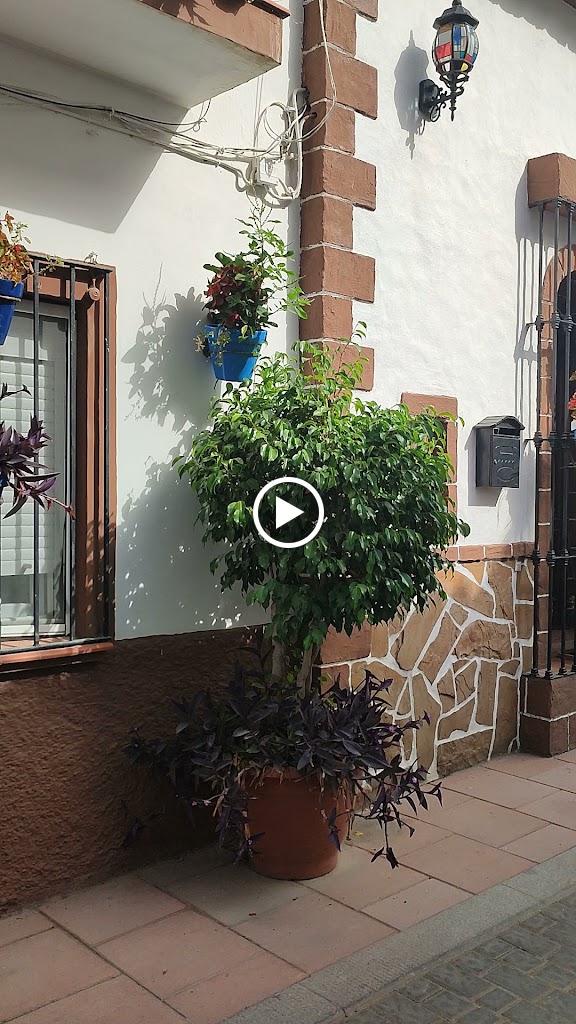 Taberna Medieval — Videos