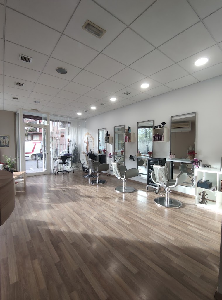 Salon de Belleza Ninfas — Interior