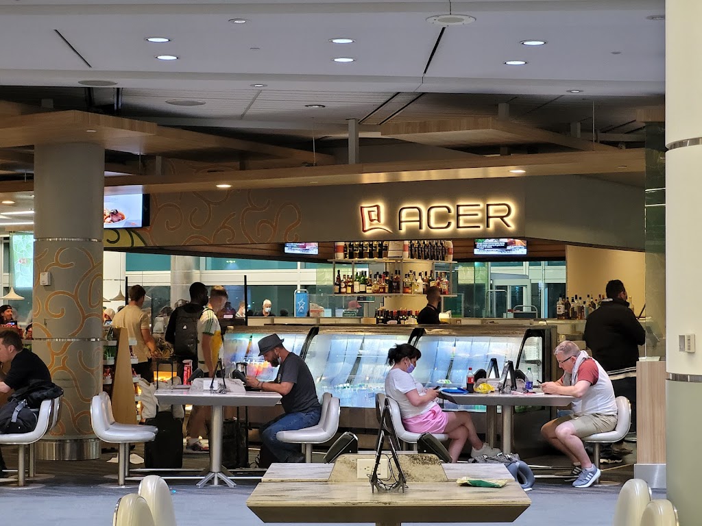 Acer Sushi