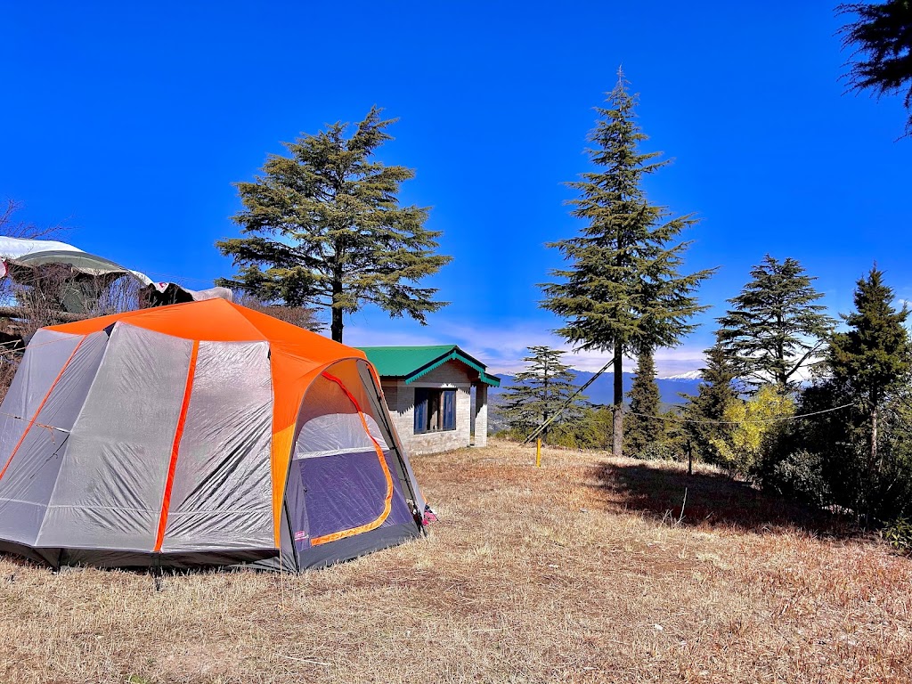 The Wilderness Camp Shitlakhet Almora