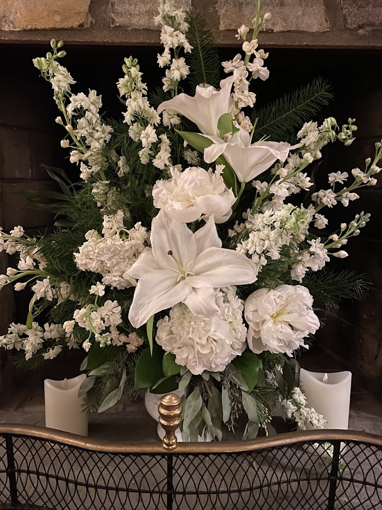 Tropic-Ardens Inc