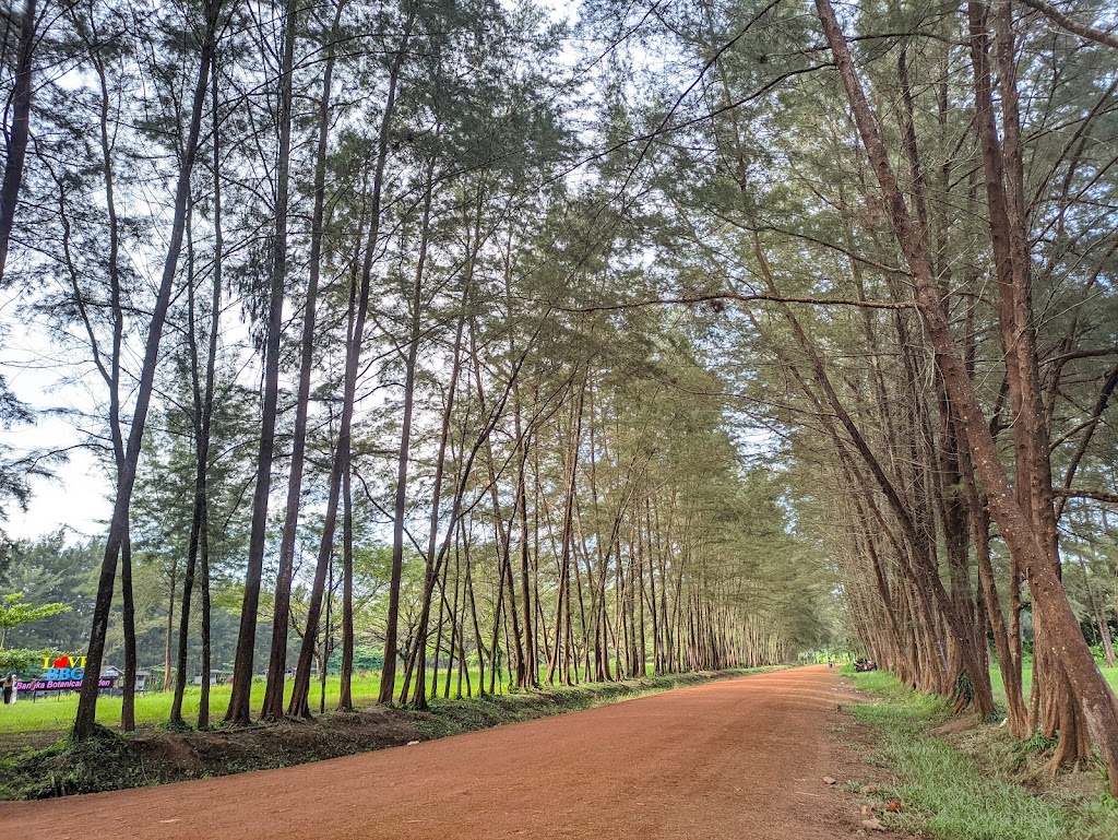 Bangka Botanical Garden