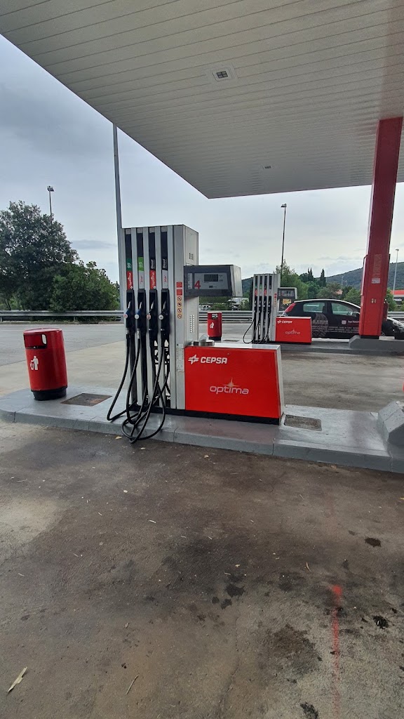 Estacion de servicio Cepsa — Surtidor de combustible