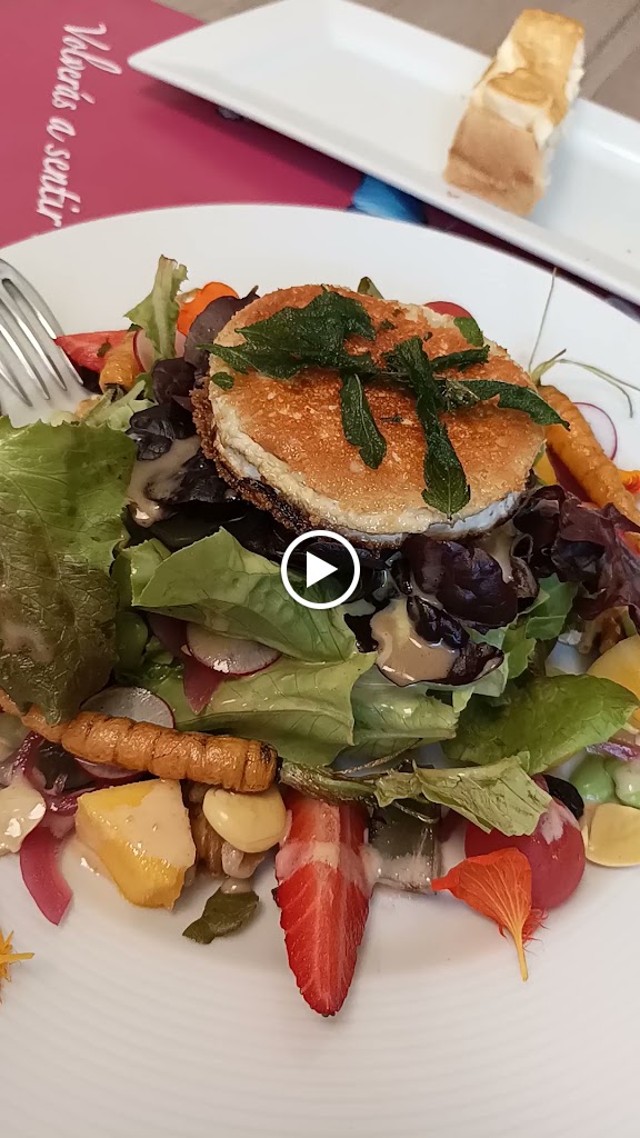 Restaurante Almar — Videos