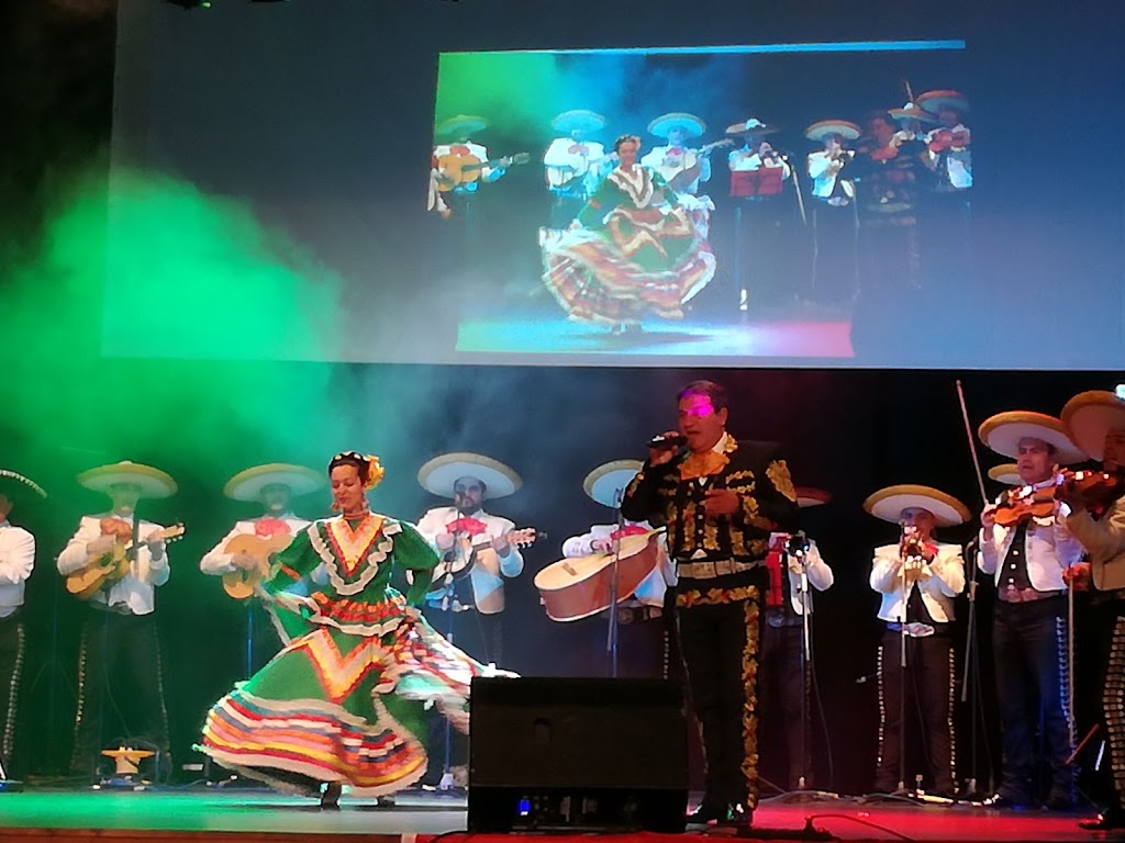 Bar Mariachi — Del propietario