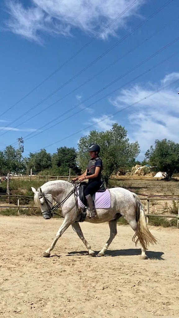 Hipica Natural Equus Castellar