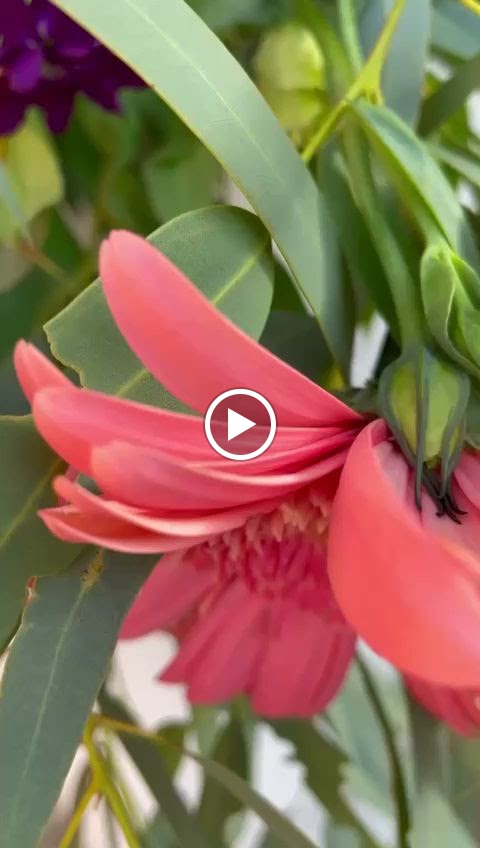 Floristerias Jurado avenida — Del propietario
