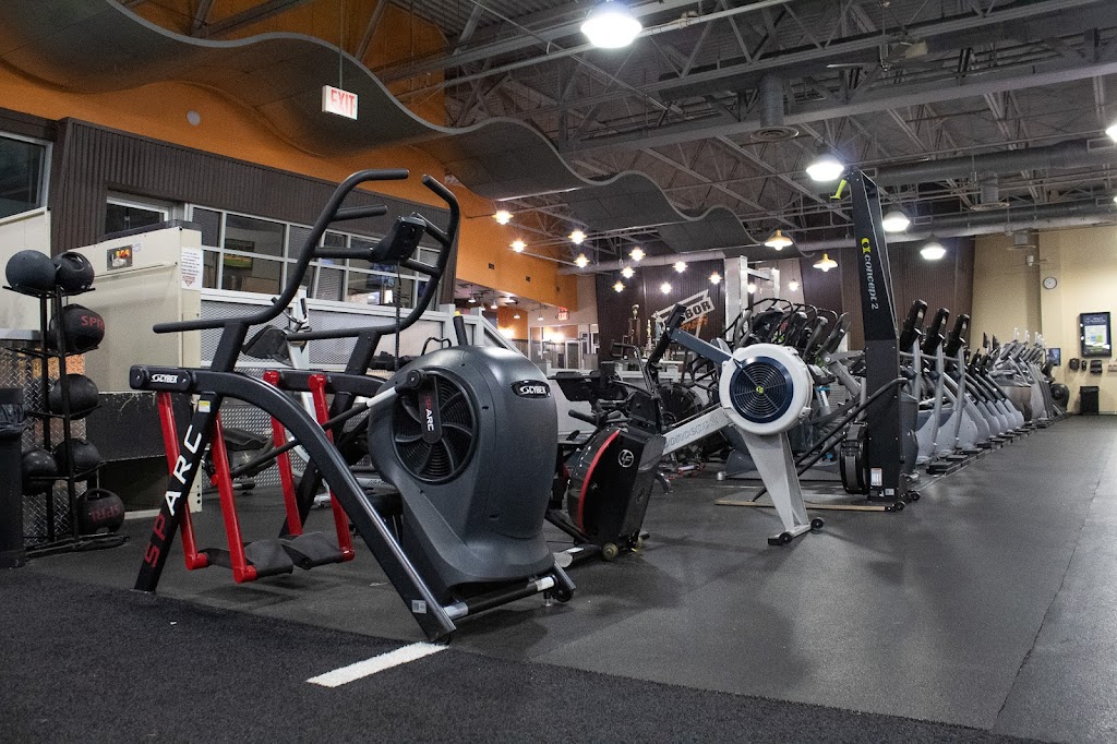  Harbor Fitness Mill Basin