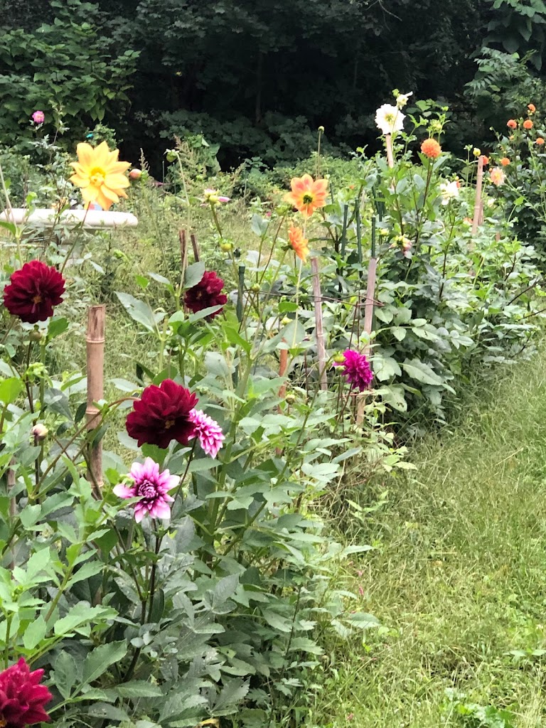 Your Vintage Blooms