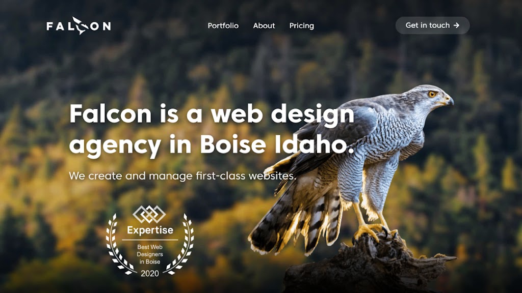 Falcon Design