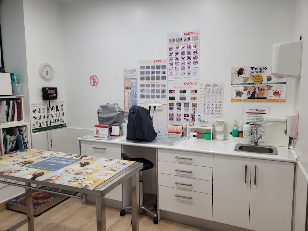 Algorta Centro Veterinario — Del propietario