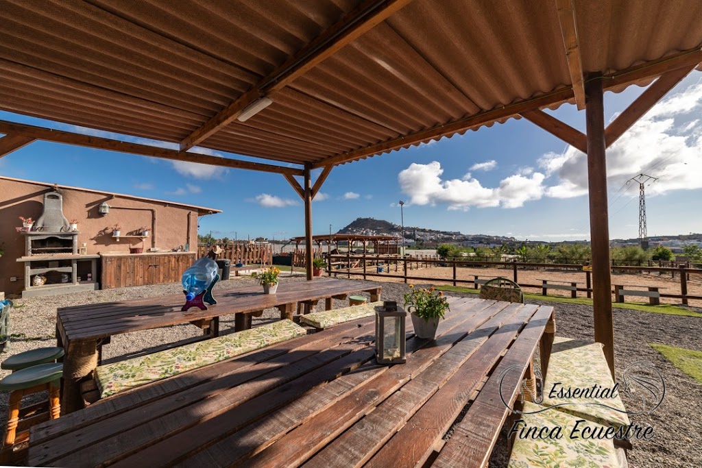Finca Ecuestre Essential