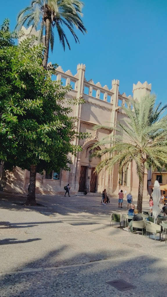 Palma 2001 Aparcament S.L.