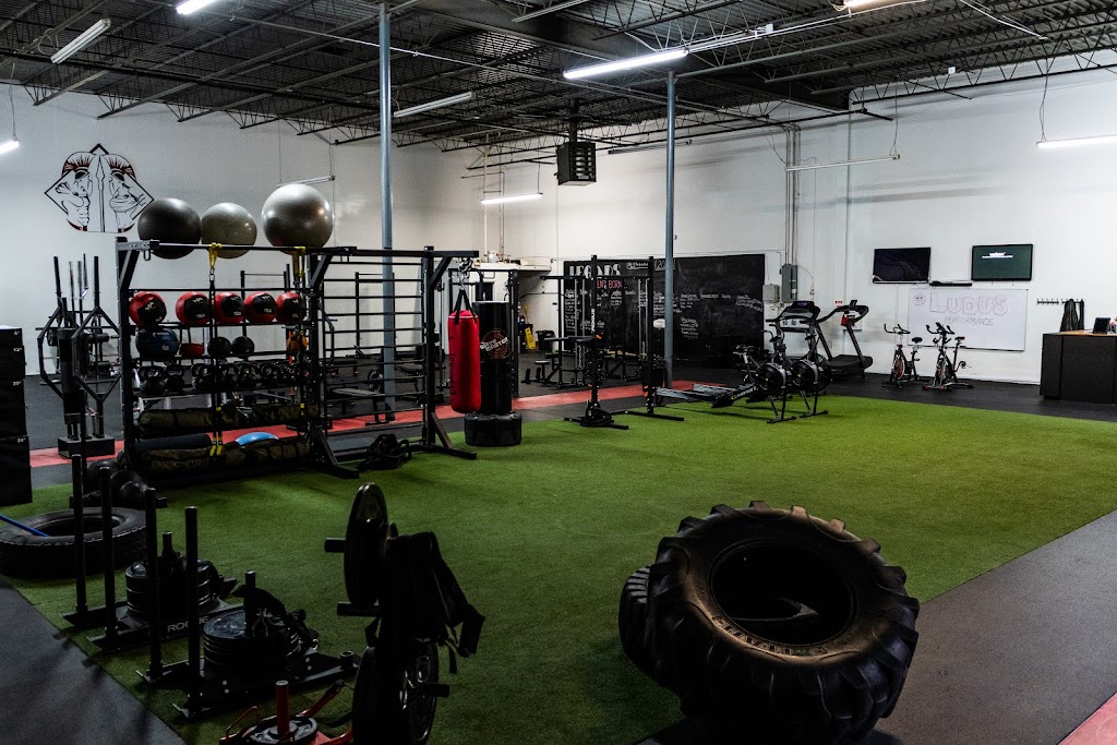  Ludus Performance Gym