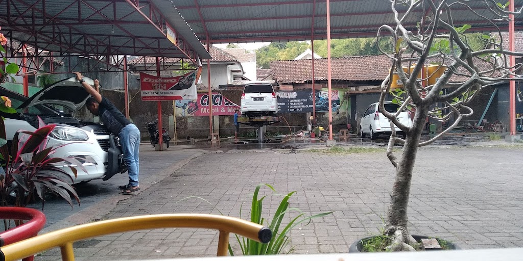 Variasi dan Cuci Mobil Teratai