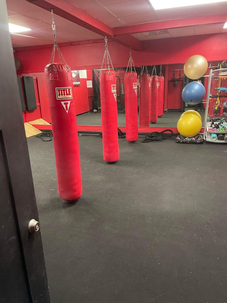  Pro Fitness 24-Elite Fitness, Nutrition & Sports Performance