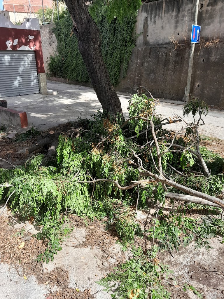 NOUS ESPAIS TORRENT SA