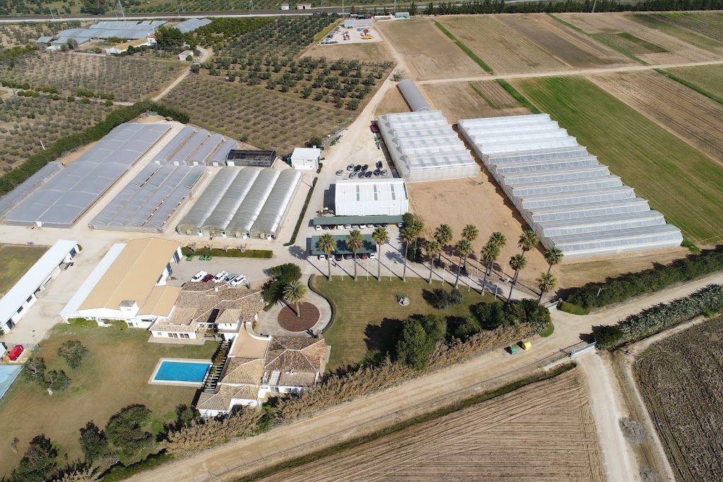 BASF Espanola, S.L.