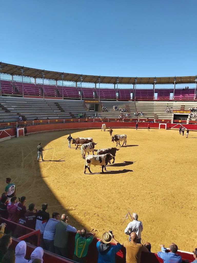 Plaza de Toros de Laguna de Duero