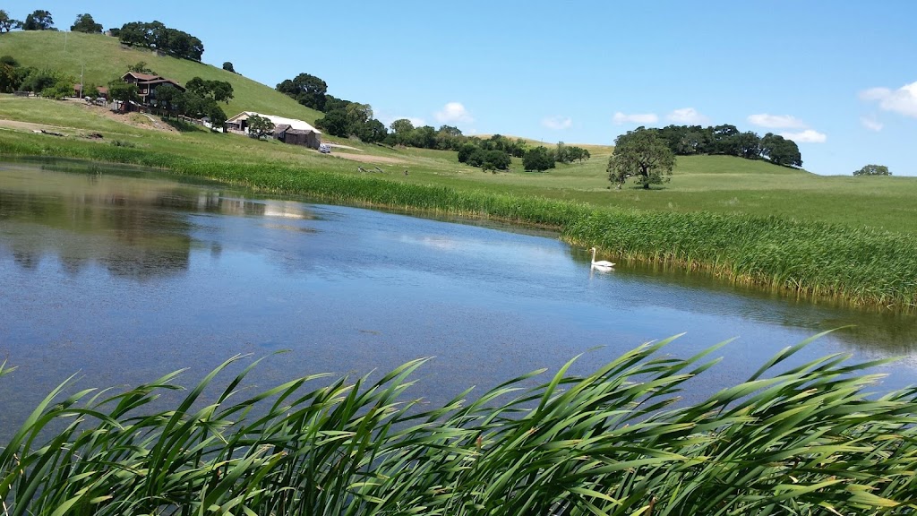 Reis River Ranch Winery