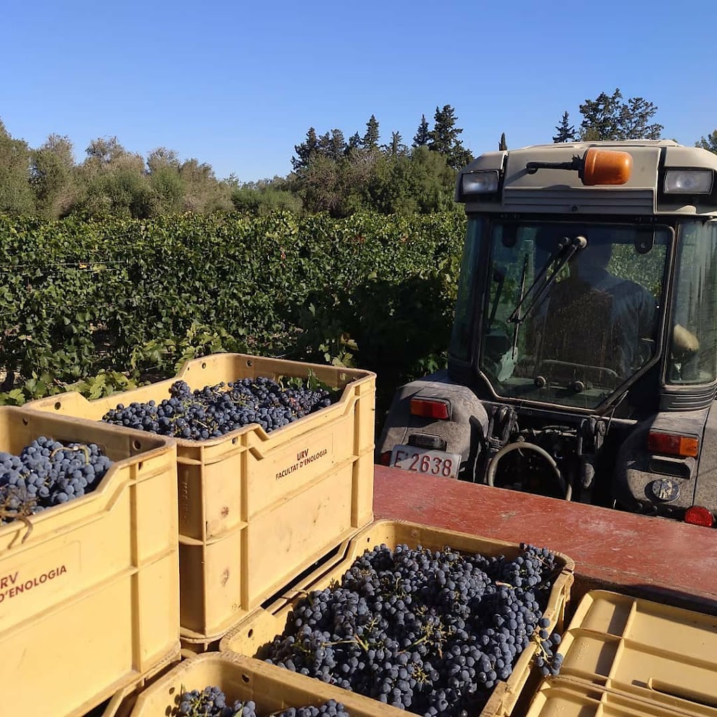 Finca Experimental Mas dels Frares-Facultad de Enologia Universidad Rovira i Virgili