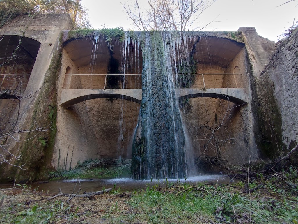 Presa de Jaula