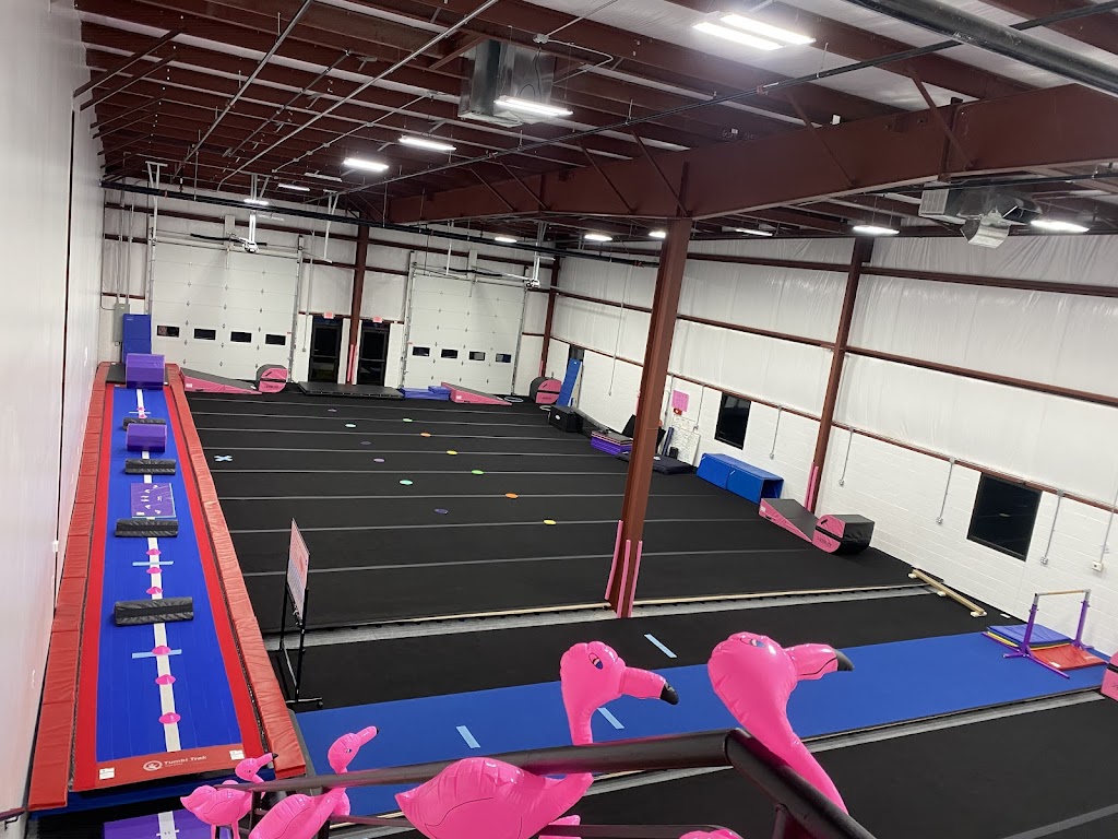  Hession Cheer Academy