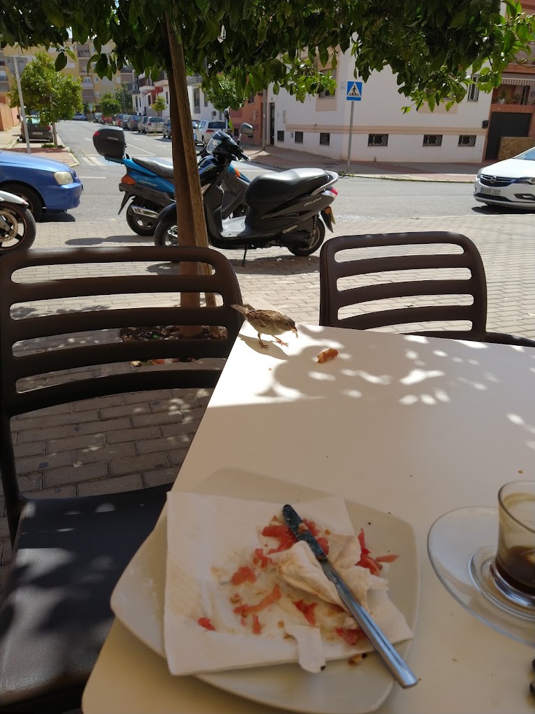 Cafeteria Red & White — Cafe