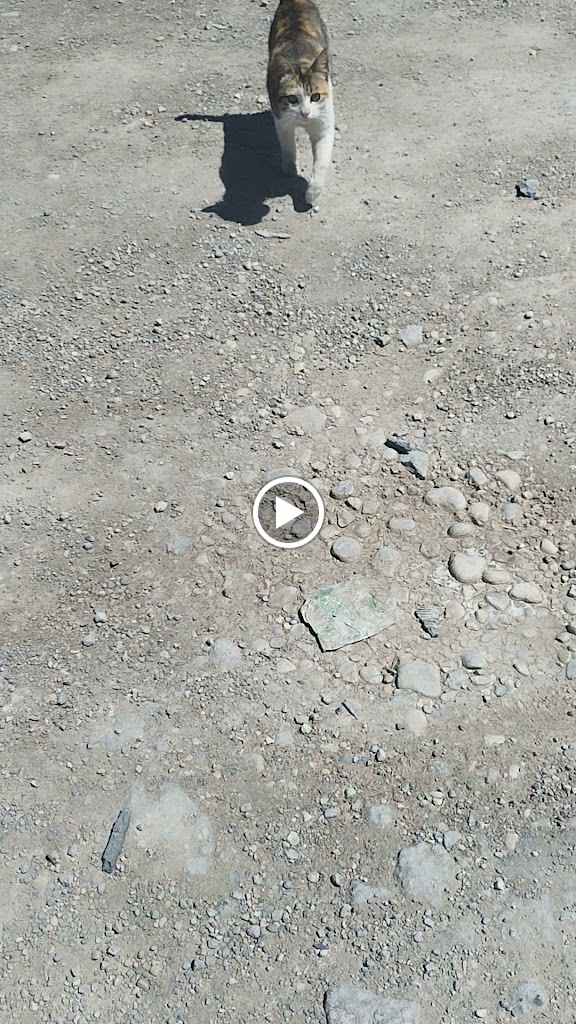 Desguaces Tomas — Videos