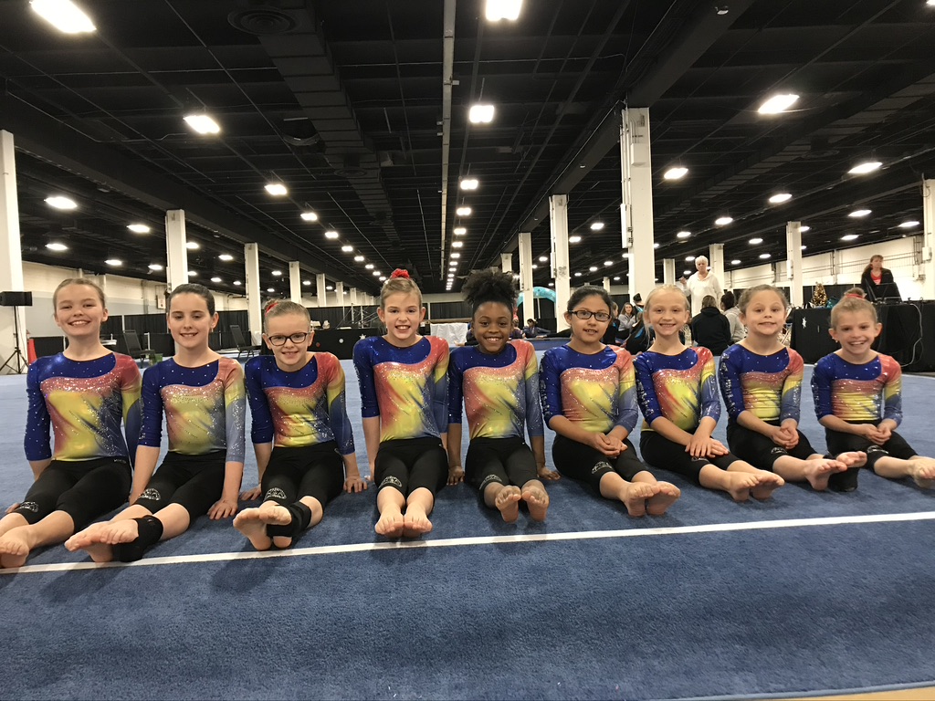 Palmetto Gymnastics Academy
