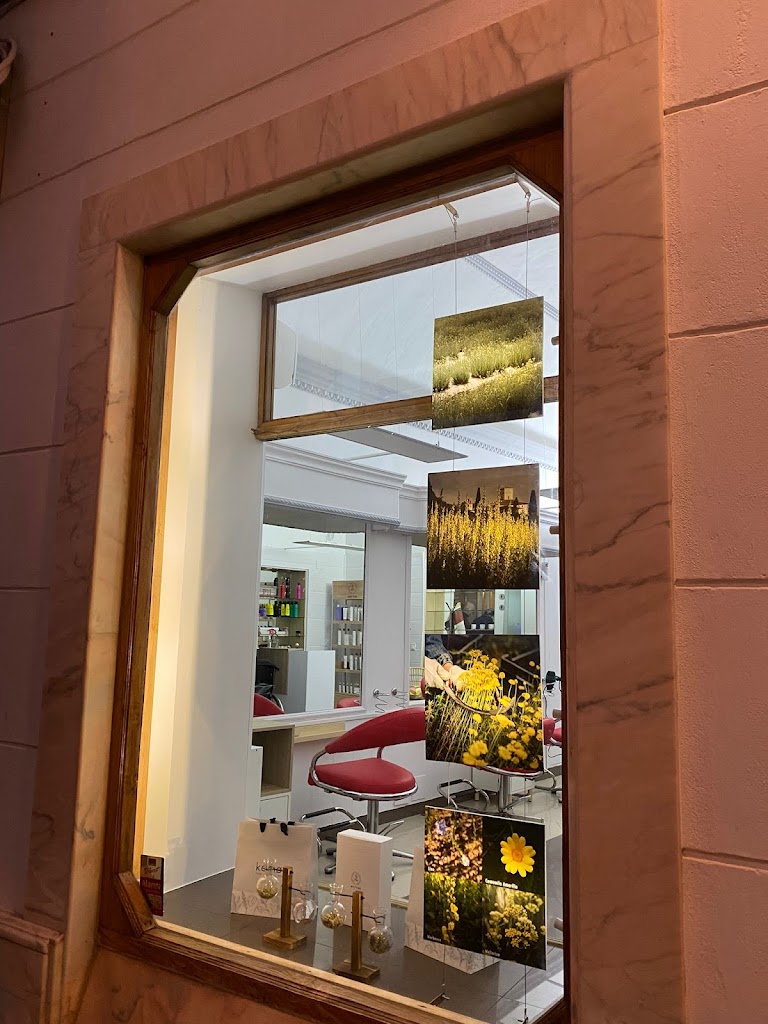 Salon Munoz Estilista