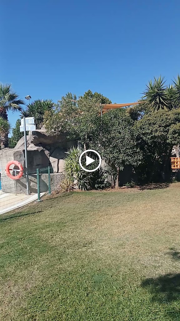 Piscina Municipal al Aire Libre de Lucena — Videos