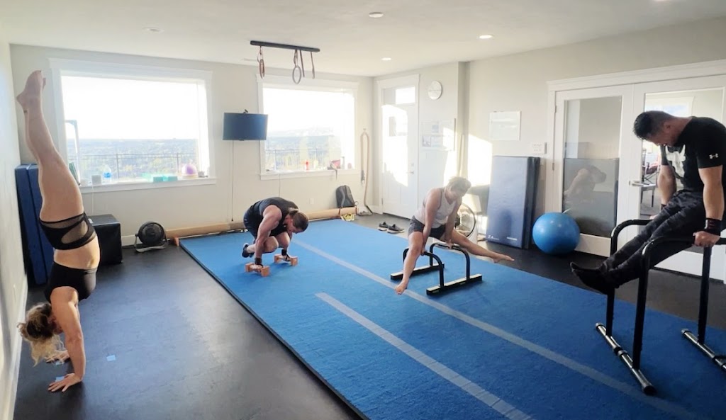  Salt City Calisthenics | Handstands, Gymnastics & Calisthenics Training For Adults