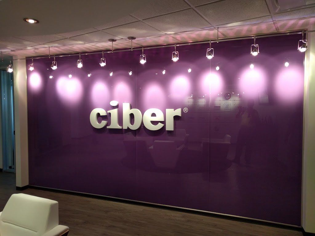 Ciber Inc - Computer consultant in Southfield , United States of America