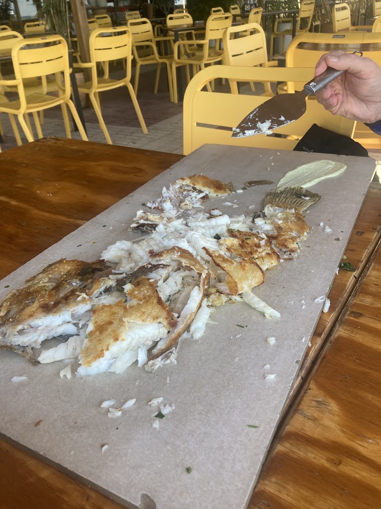 Restaurante Oceano Playa — Mas recientes