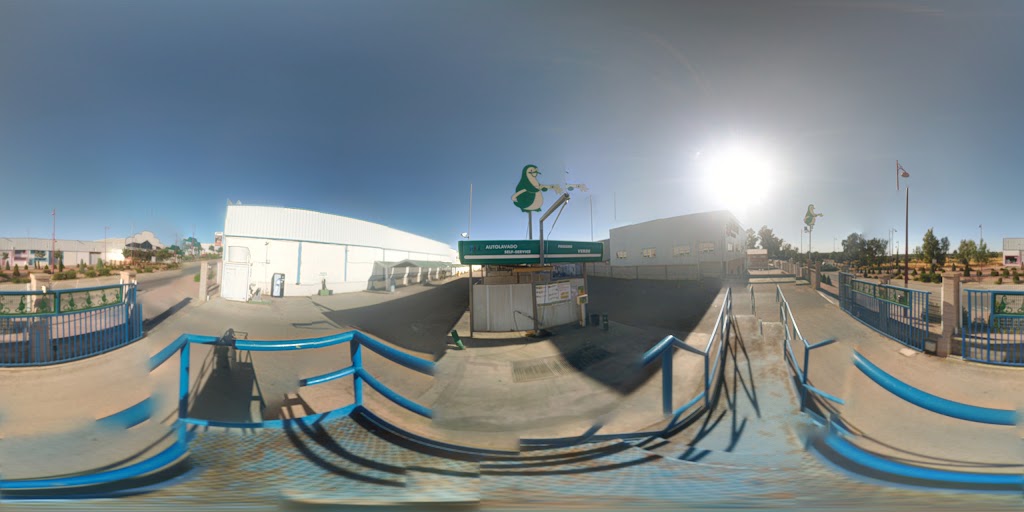 Pinguino Verde — Street View y 360deg