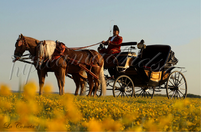 Club Hipico Madrid Sur — Caballo
