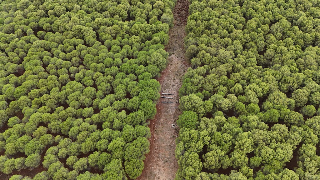 Sendero de la sierra